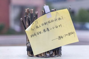 创意制作，一起开开脑洞