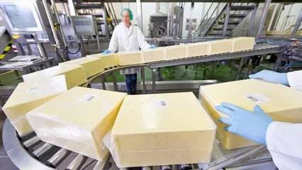 恒天然斥资2000万扩建工厂，全力拥抱中国奶酪市场新浪潮